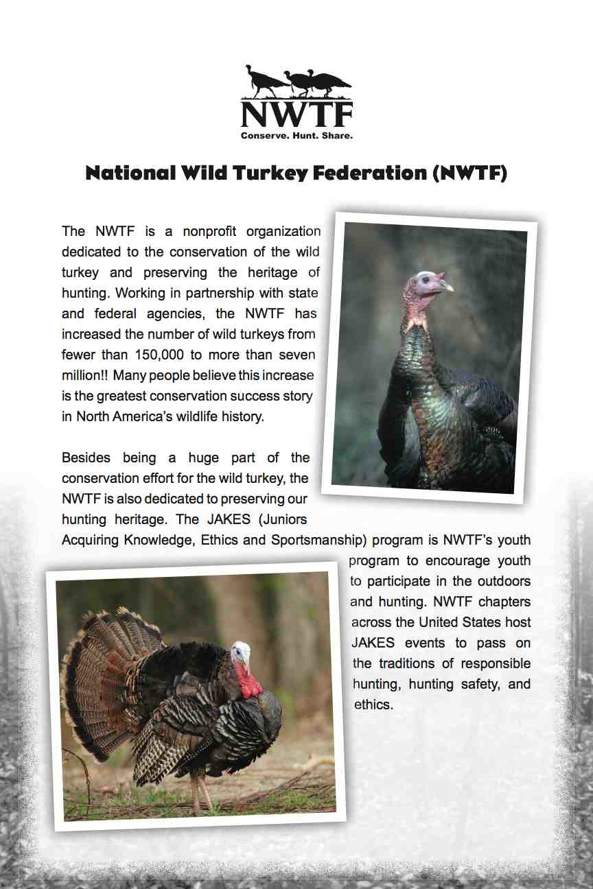 ABCs of the Wild Turkey